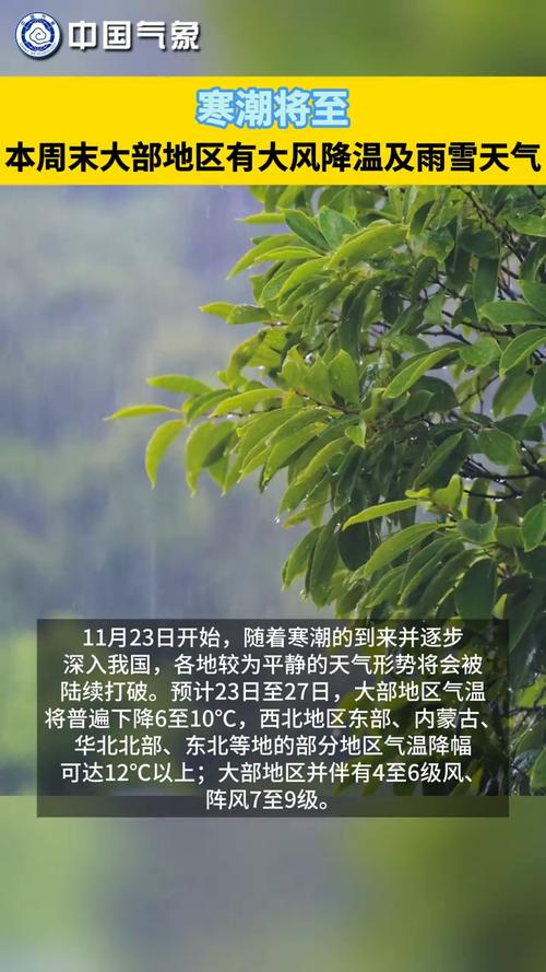 寒潮强势来袭！本周末起我国大部地区有大风降温及雨雪天气