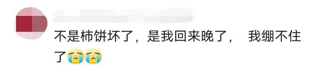 “不是柿饼坏了，是我回来晚了！”网友：眼睛怎么进沙子了