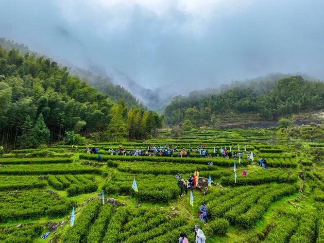 第二届明月山绿色发展示范带人才节举行